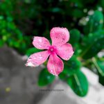 دانلود اهنگ ج ج جعفر