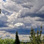 دانلود اهنگ تو د لباس عروسی چنی قشنگی