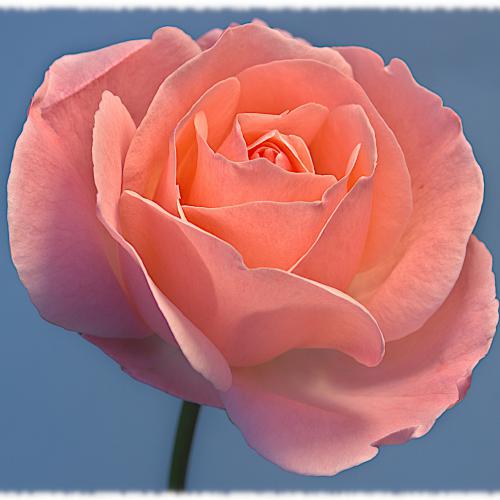 دانلود آهنگ برچسب ها جدید غمگین برای مرگ عزیز دانلود آهنگ جدید غمگین برای مرگ عزیز برچسب ها