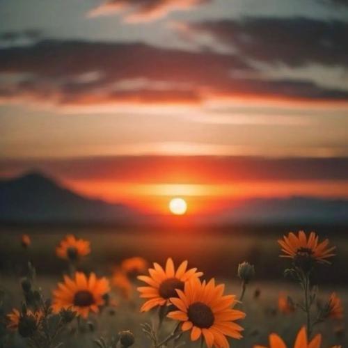 دانلود آهنگ ای-کافی دلنوشت 4 دانلود آهنگ دلنوشت 4 ای-کافی