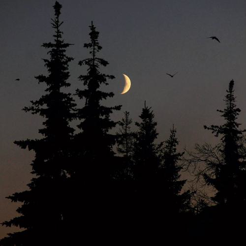 دانلود آهنگ برچسب ها عجب نوری دانلود آهنگ عجب نوری برچسب ها