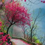 متن اهنگ دعا امان الله تاجیک