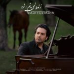 دانلود آهنگ عماد طاب زاده زنده نمی مانم نرو