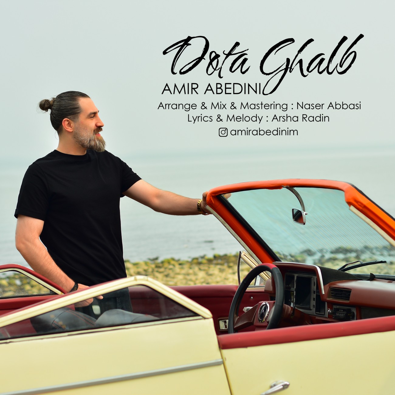 دانلود آهنگ دوتا قلب امیر عابدینی