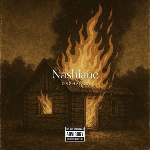 دانلود آهنگ ناشیانه داش ارسی