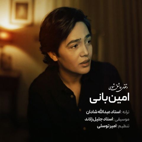 دانلود آهنگ وقتی عاشق شوی امین بانی