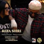 اهنگ جدید رضا شیری نیومدی نیومدی