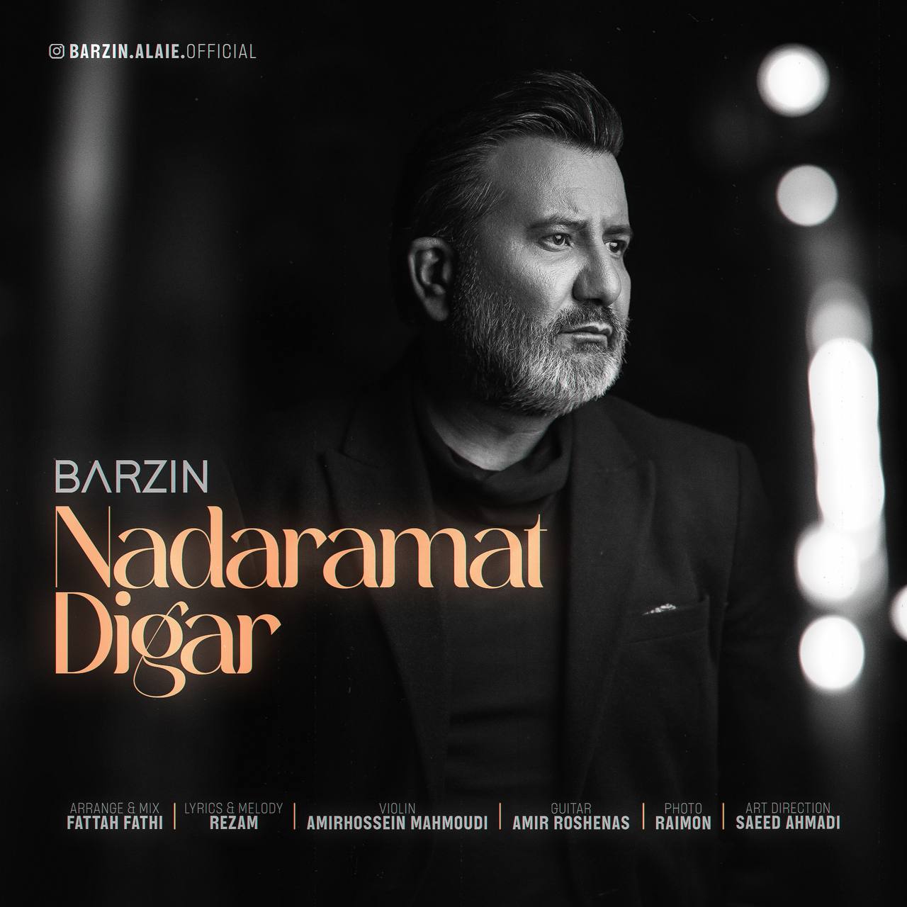 دانلود آهنگ ندارمت دیگر برزین