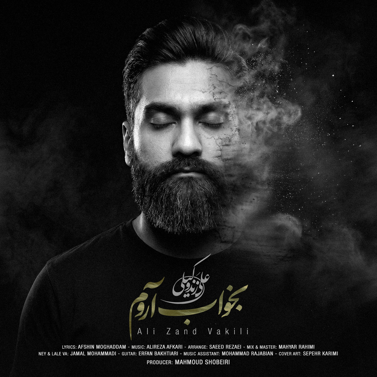 دانلود آهنگ علی زندوکیلی بخواب آروم دانلود آهنگ بخواب آروم علی زندوکیلی