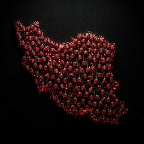 شروین حاجی پور ایرانم