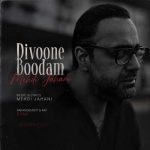 دانلود آهنگ مهدی جهانی دیوونه بودم