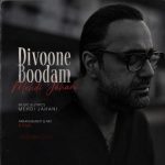 دانلود آهنگ مهدی جهانی (دیونه بودم)