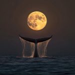 دانلود آهنگ جدید ناناز نازتو بنازم با صدای بچه